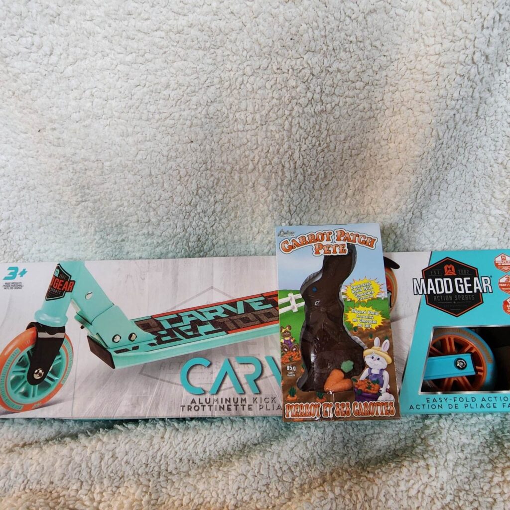 339341888_883543606279117_6700687549492923991_n