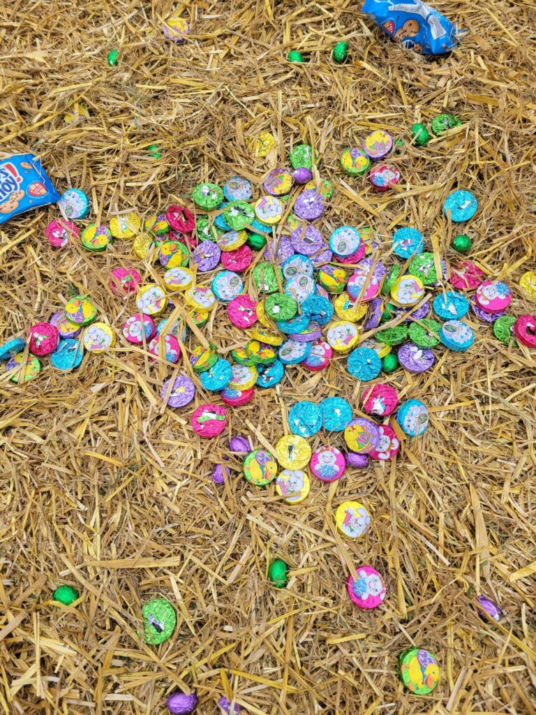 434753937_436385369043600_4447161125879926200_n